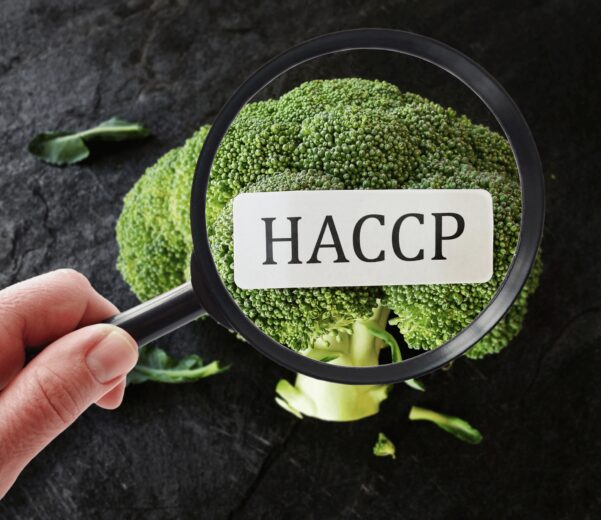 piano haccp