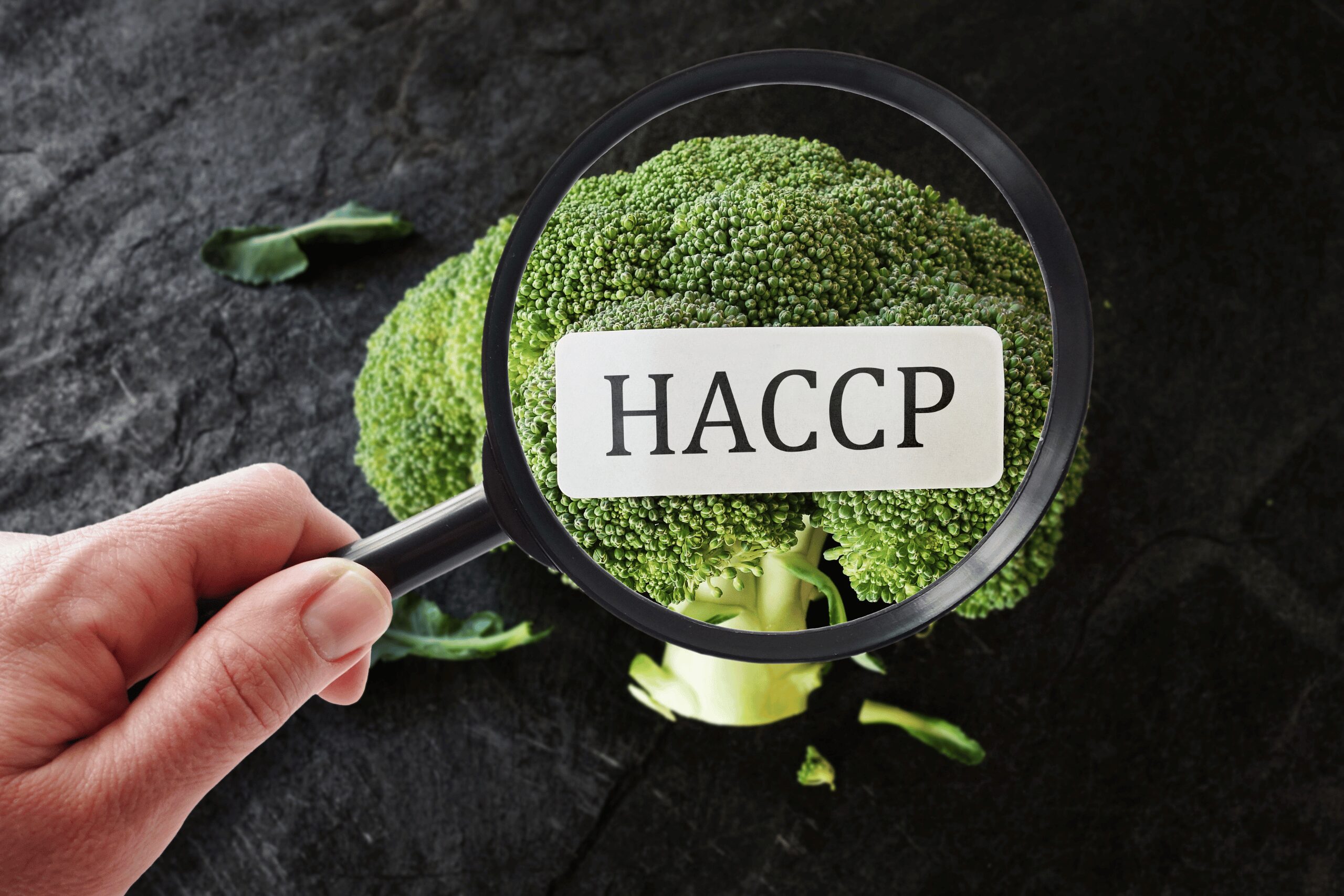 piano haccp